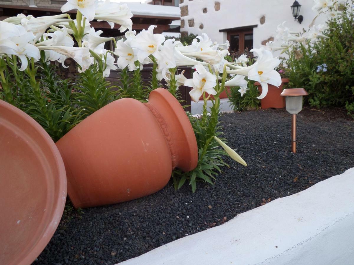 Guatiza Finca De Los Abuelos מראה חיצוני תמונה